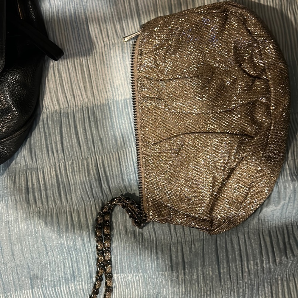 Express silver sparkly wristlet